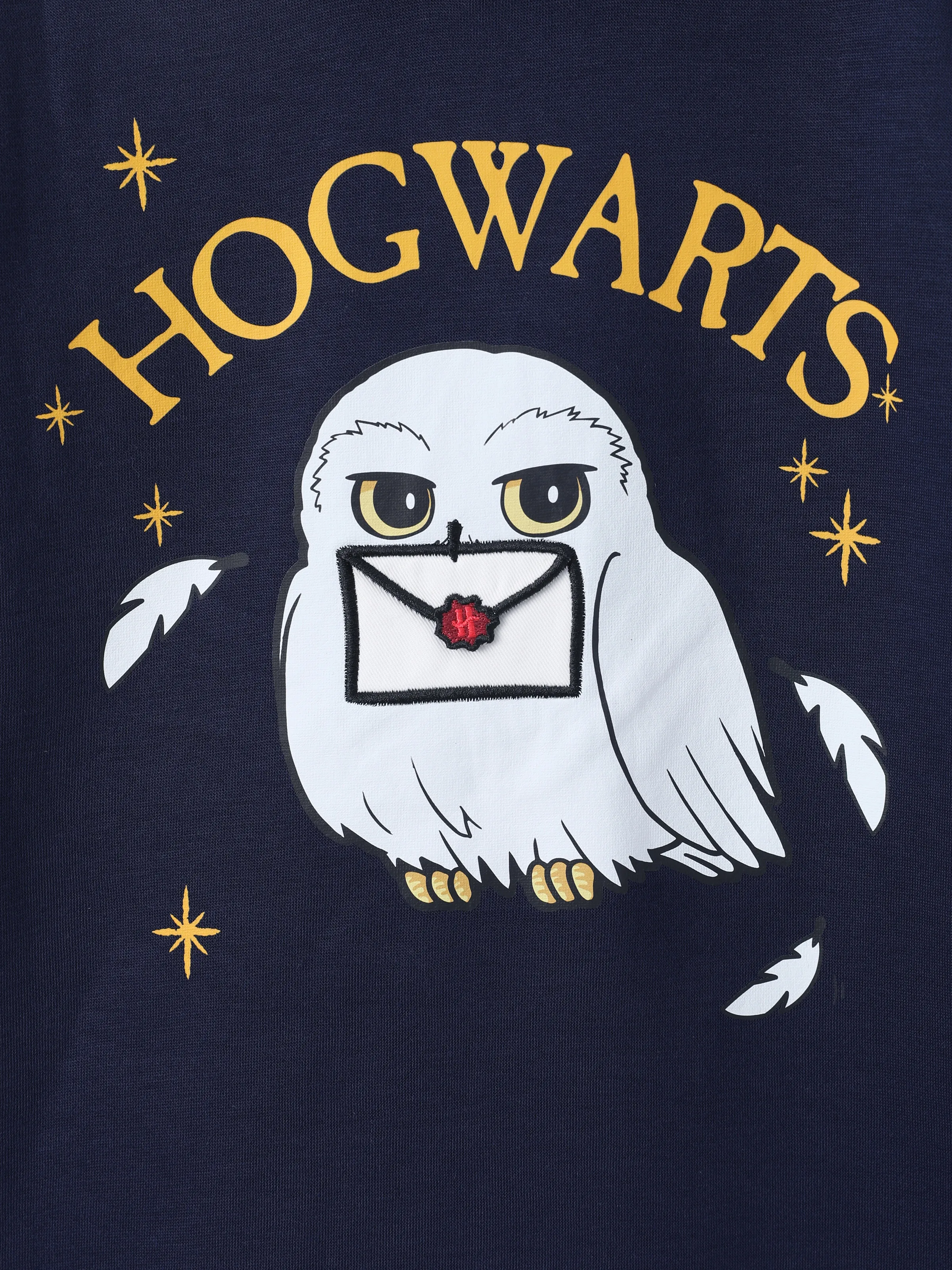 Harry Potter Kid Girl 1pc Owl 3D Envelop Plush Long-sleeve Hooded Dress
royalblue - Image 6